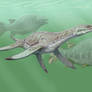 Leptocleidus and Lepidotes