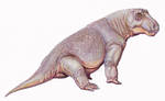 'Anoplosuchus'