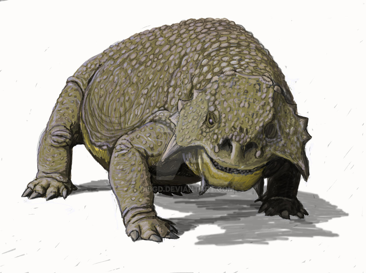 Scutosaurus By DiBgd On DeviantArt