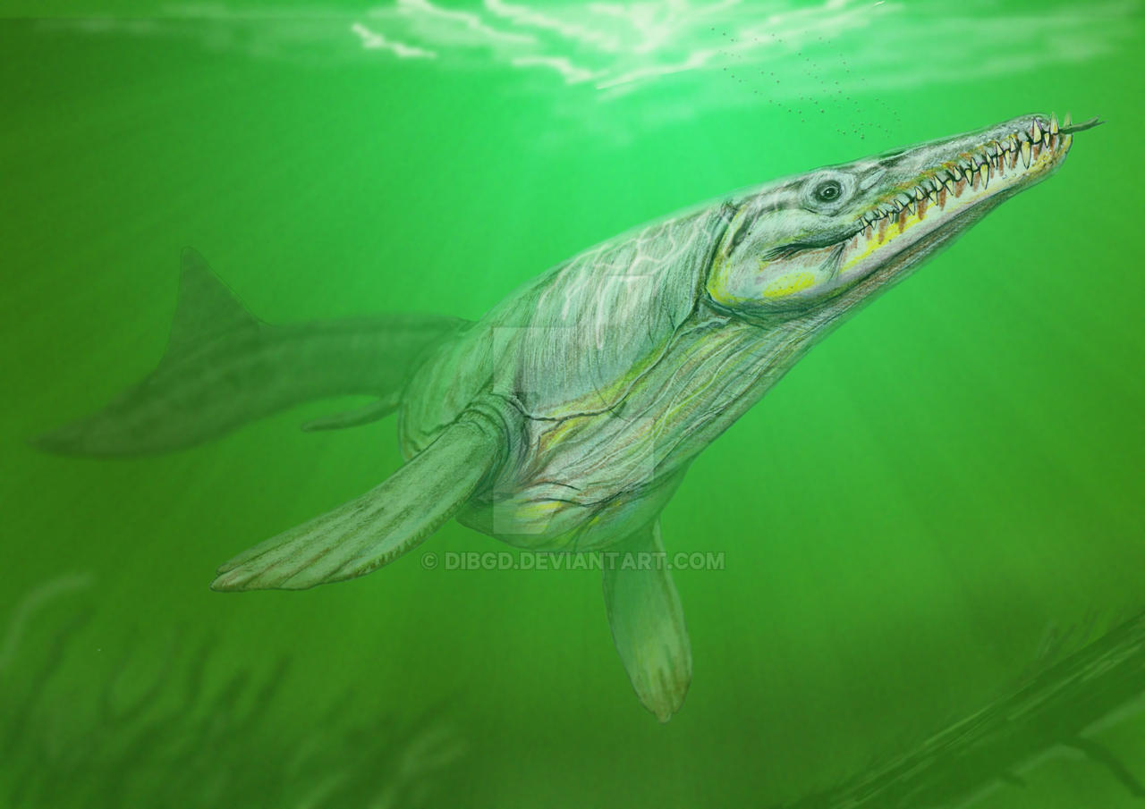 Goronyosaurus nigeriensis