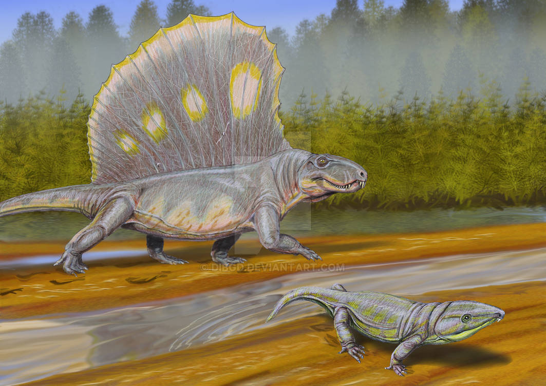 Пресмыкающиеся пермского. Диметродон это рептилия. Пермский период Диметродон. Диметродон динозавр. Диметродон палеозой.