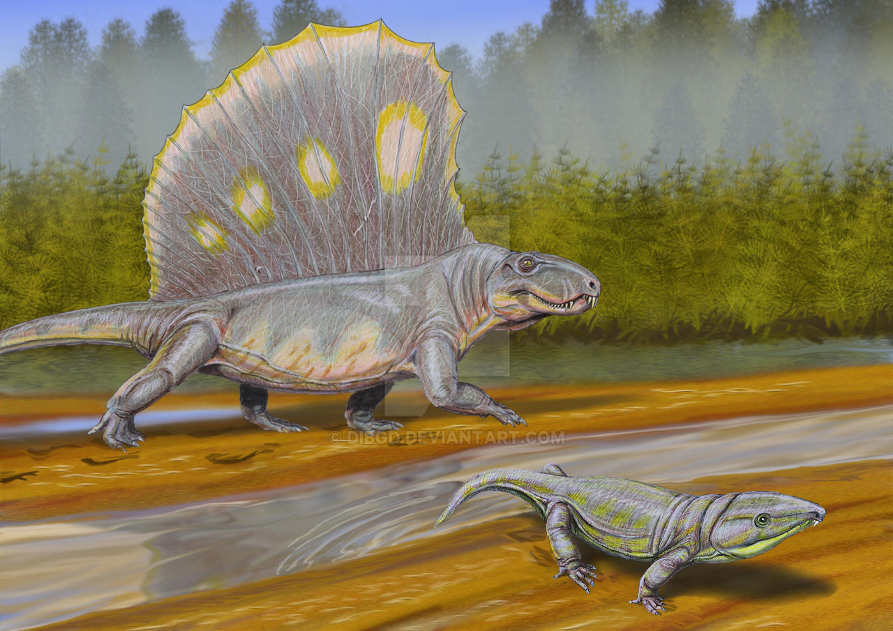 Dimetrodon and Labidosaurus by DiBgd on DeviantArt