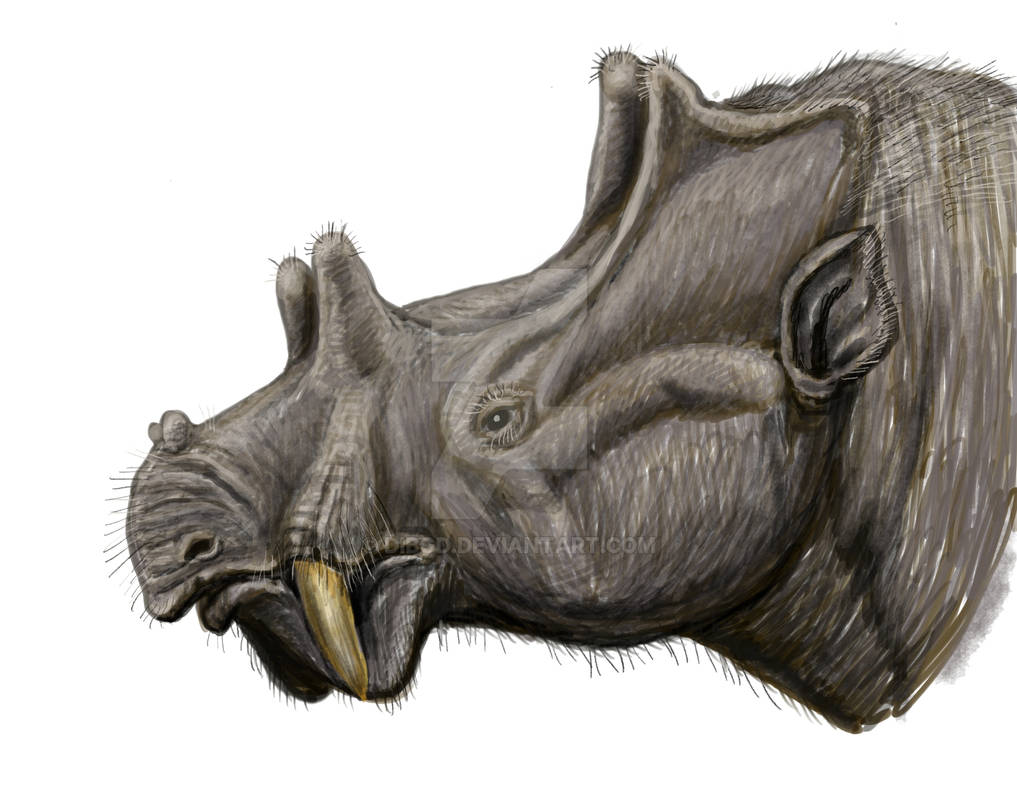 Носорог рептилия. Уинтатерий Uintatherium. Бронтотерий. Носорог рисунок. Диноцераты.