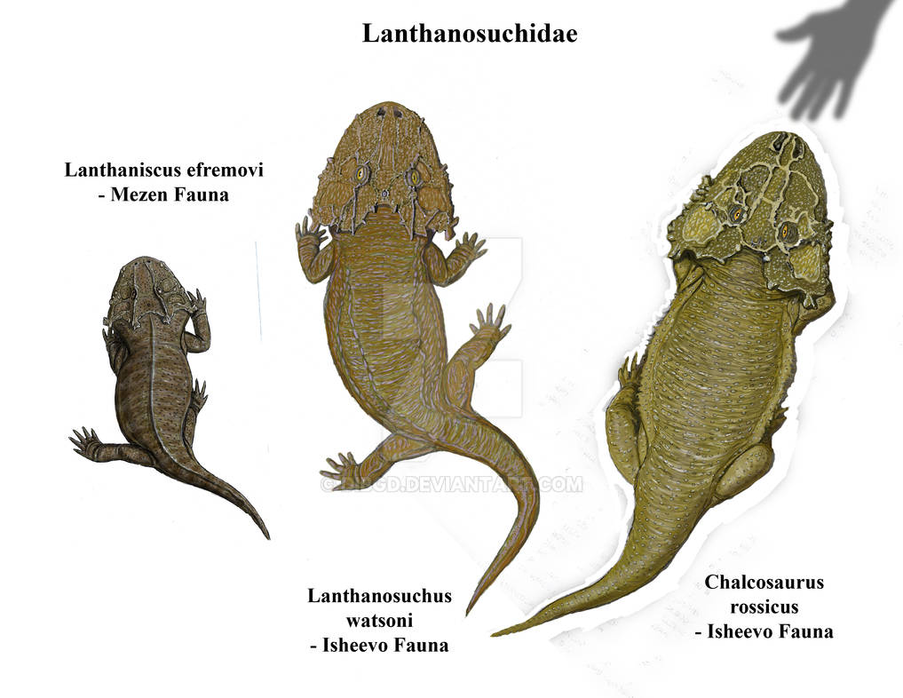 Lanthanosuchidae by DiBgd on DeviantArt