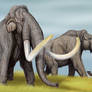 Steppe Mammoths