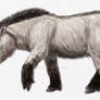 Equus lenensis