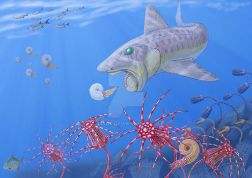Helicoprion in the sea