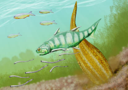 Acritolepis