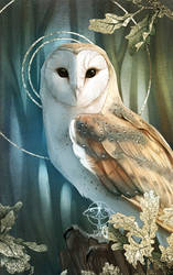 December Owl