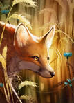 July Fox by giz-art