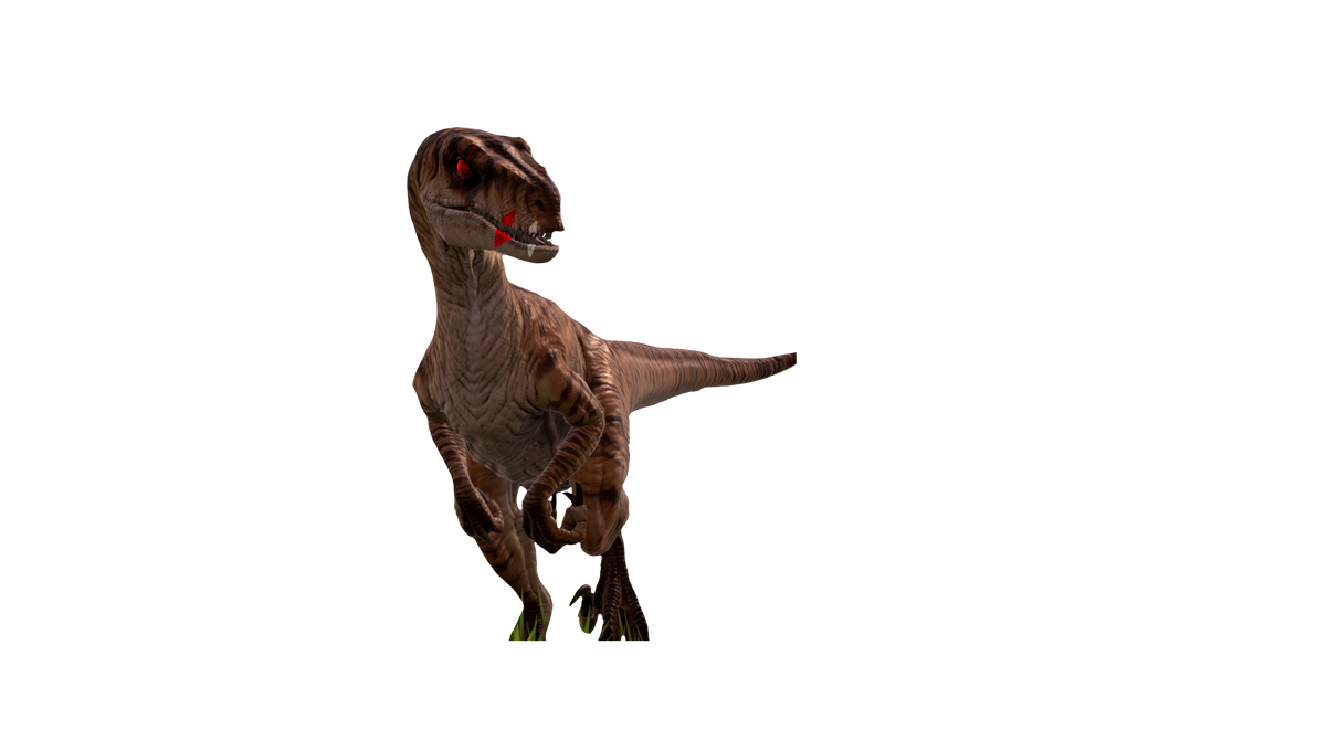 tiger stripes the alpha Male velociraptor by dino9192 on DeviantArt