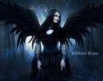 Miss Raven II