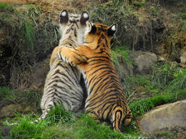 Being Different Isn't a Bad Thing