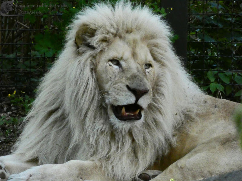 In The Morning I'll Feel Better