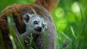 Learning From My Own Words