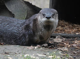 One Of the Reasons I Was Out of Place