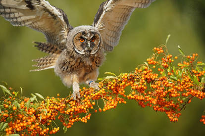 We Go A-Riding With The Brothers