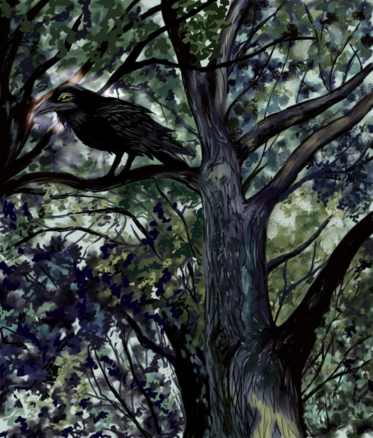 There's A Raven in the Woods