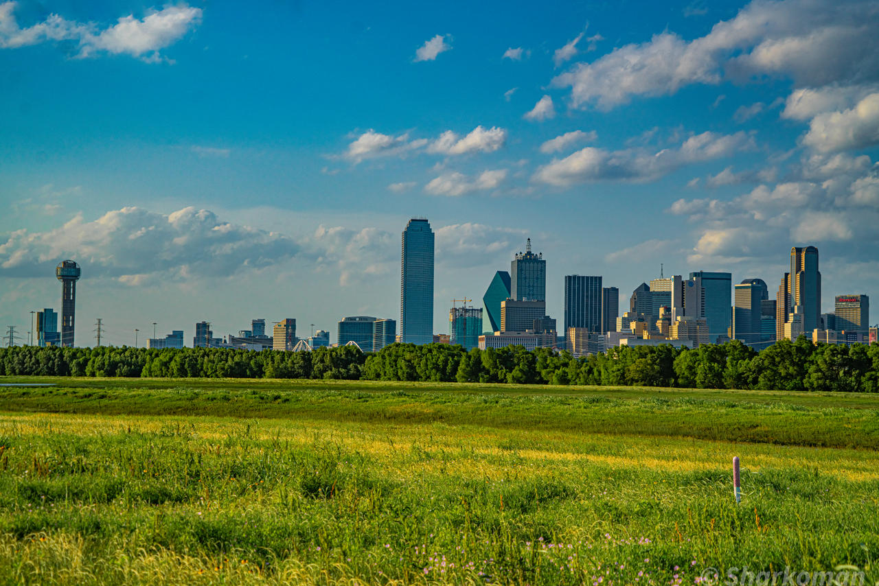 Deviantart Texas Dallas Texas 2019 by Sharkoman on DeviantArt