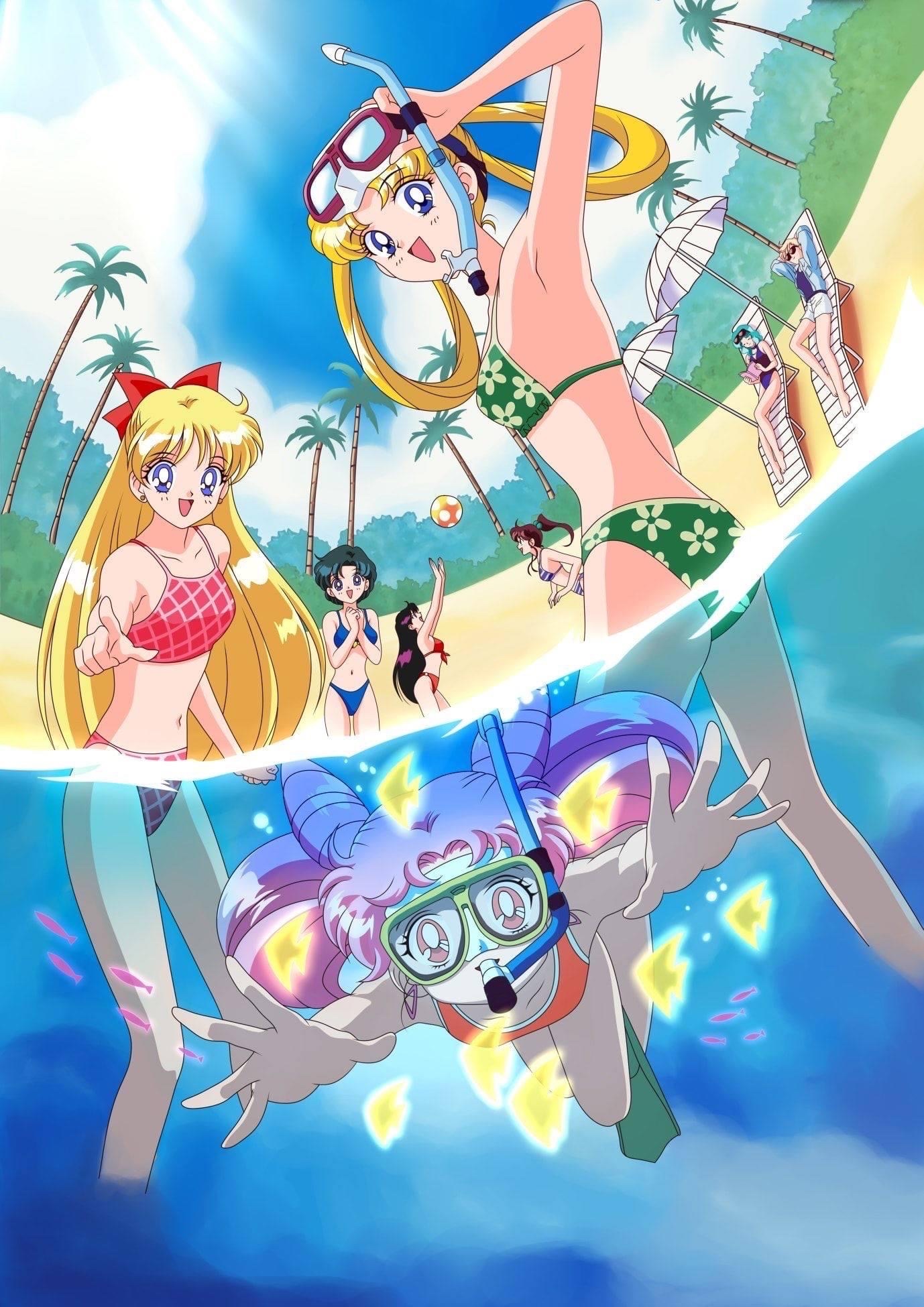 Sailor Moon Beach Episode Img Plane 