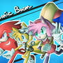 Sonic Boom