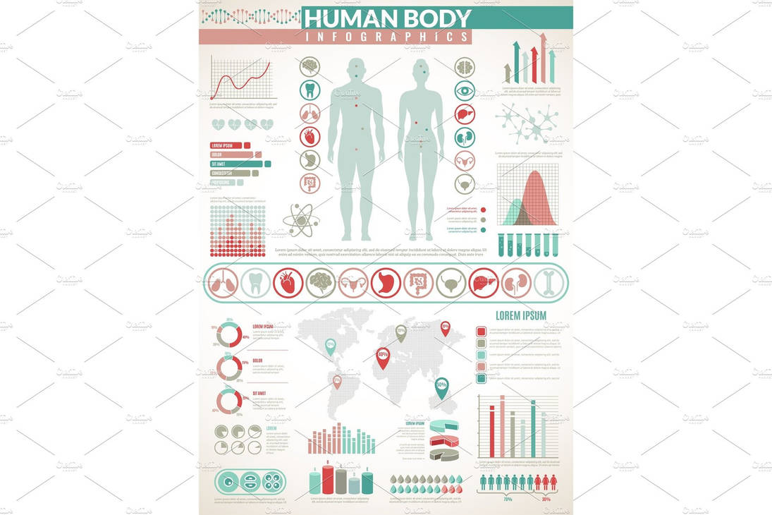 Body infographics. Human health by sinitorutaya3 on DeviantArt