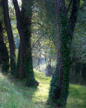 By the river