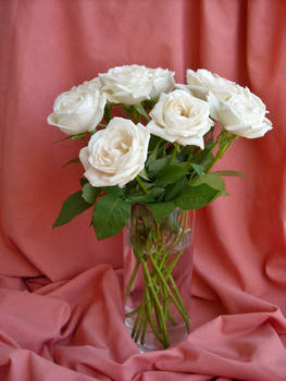 Un bouquet de roses blanches