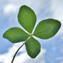 Four-leaf Clover in the Sky