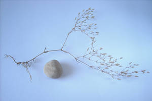 Pebble And Twig - 4