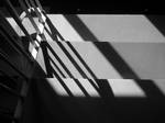 Pictober 2019 - 7 - Shadow by TinyWild