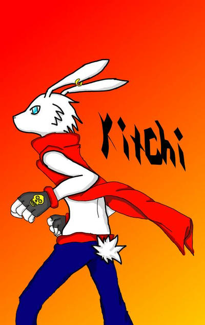 Fighter Rabbit by ShadowStarNeko on DeviantArt