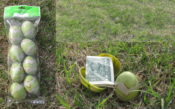 Camouflage Eggs Review