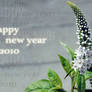 Happy new year 2010