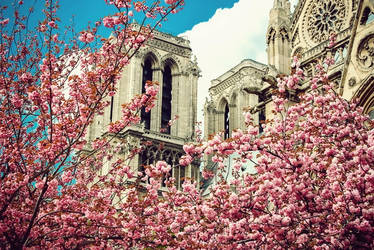 Notre-Dame de Paris 2