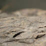 Rock Surface stock 1
