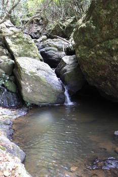 Rock Pool