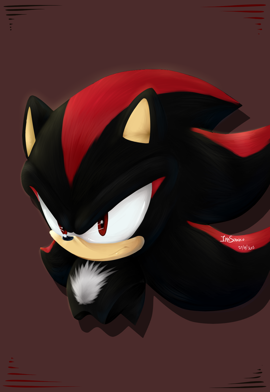 Shadow the Hedgehog - portrait