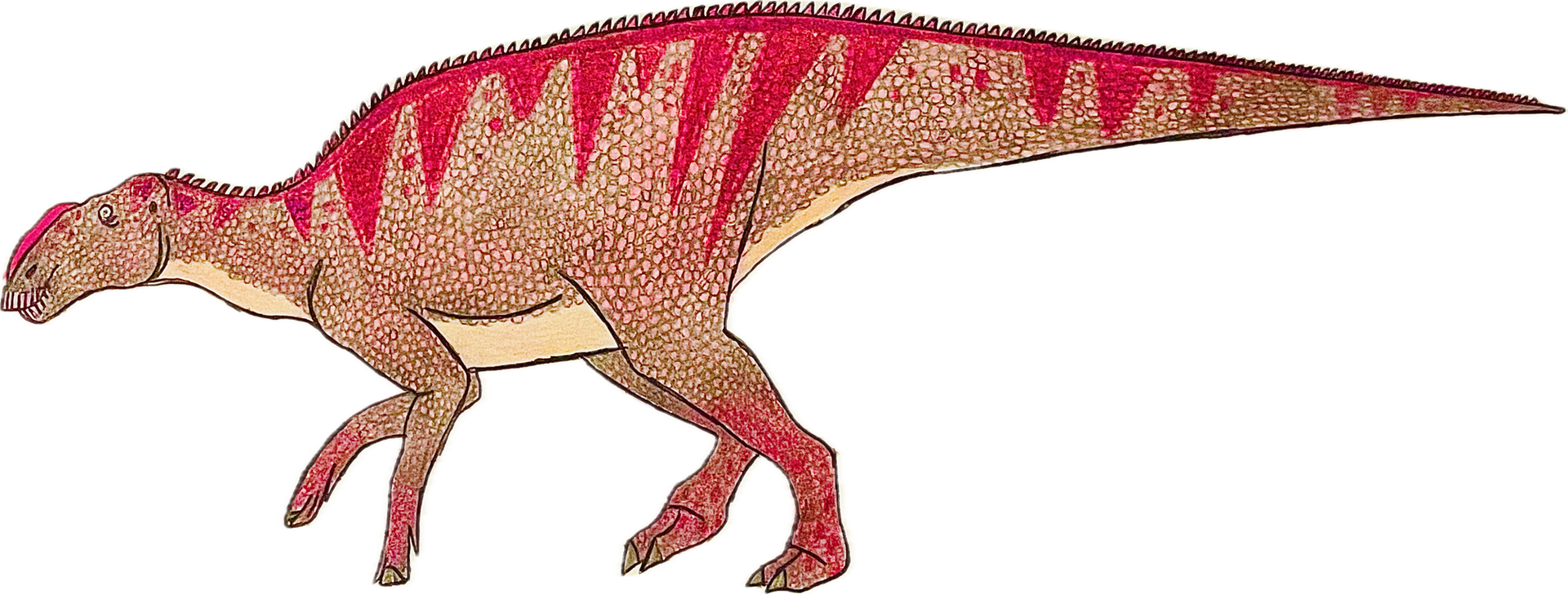 Haadrosaurus Hadrosaurus by Gustthank on DeviantArt