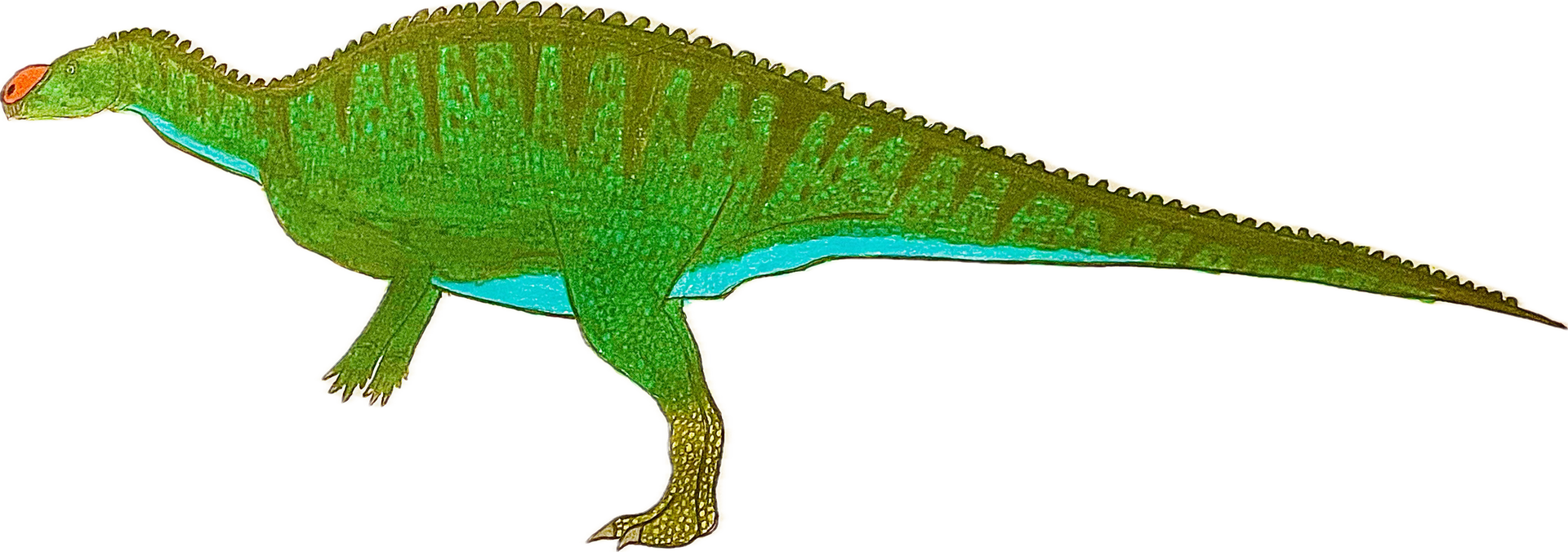 Muttataurus Muttaburrasaurus by Gustthank on DeviantArt