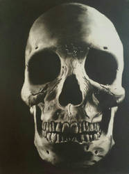 Skull, Charcoal