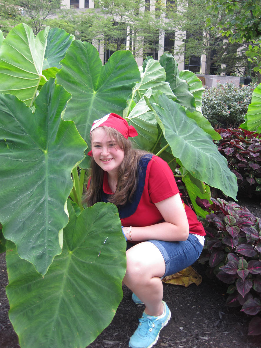 watching pokemon from behind a plant