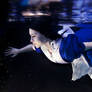 Alice underwater