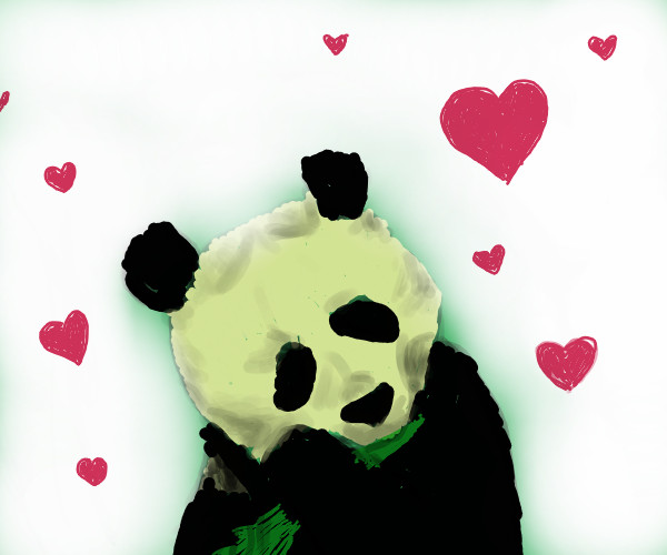 Panda Love