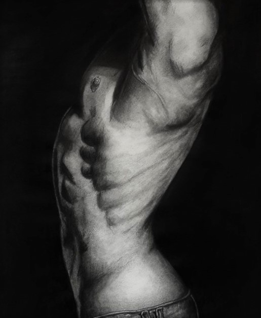 Male Torso