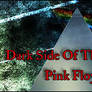 Dark Side Of The Moon