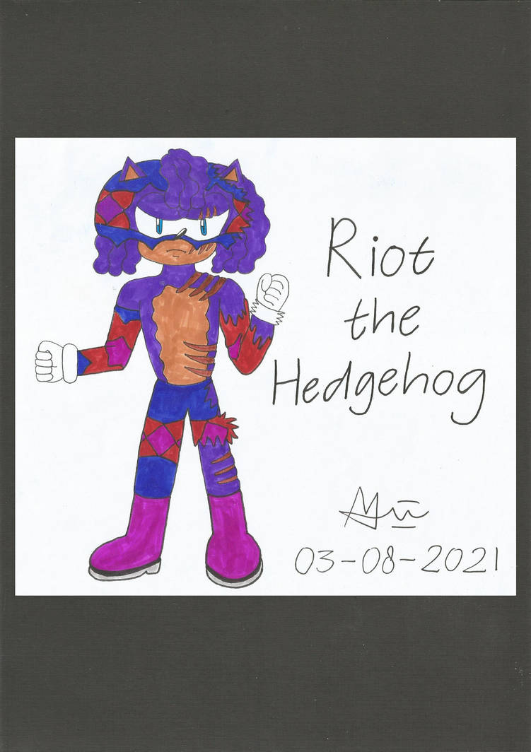 Riot the Hedgehog (Villain - Emily's Ex-boyfriend) by ImmanuellaLissa ...