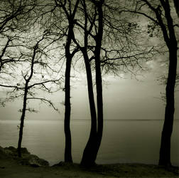 islands...