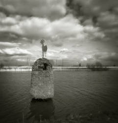 welcome to Kinderdijk...