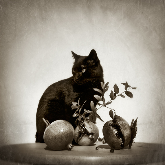 portrait with fruits...